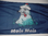 Flagge Seehund / Pfeife ,,Moin Moin"