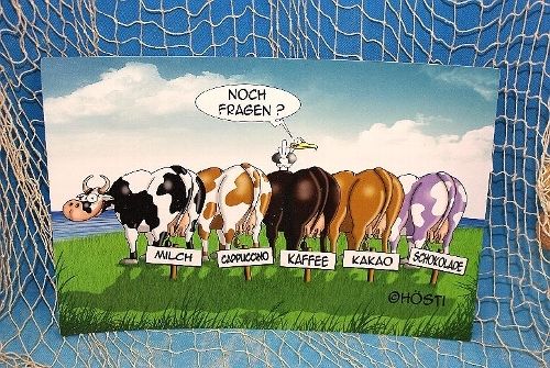 Hösti Platzset, 2er Set, 5 Kühe